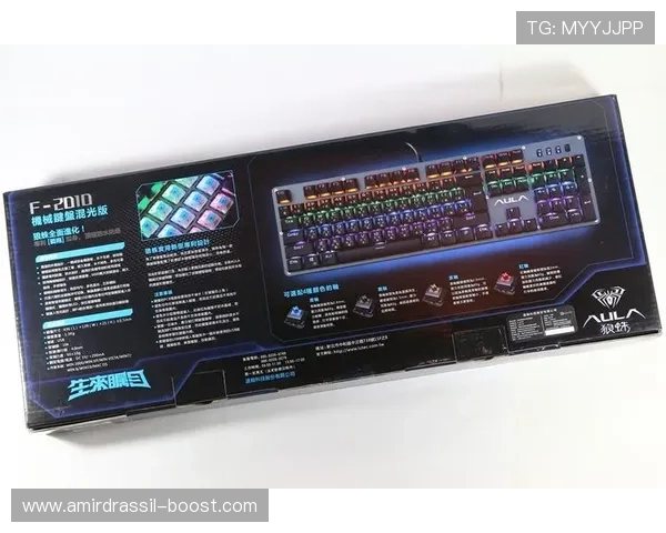 全面解析F2010电竞游戏鼠标驱动的下载、安装及常见问题解决方案