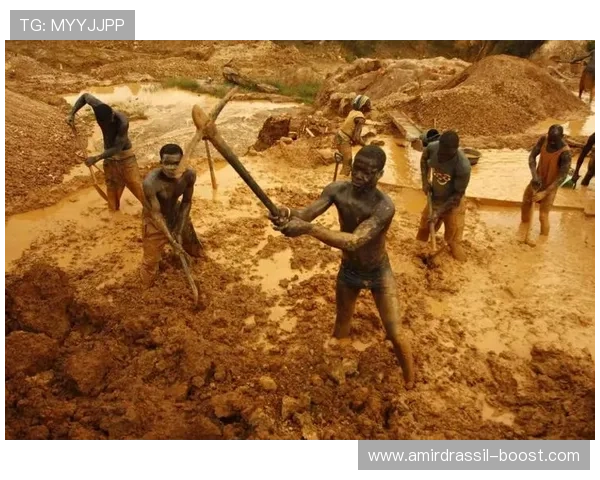 寻宝黄金城游戏下载攻略,详细步骤助你快速进入游戏世界